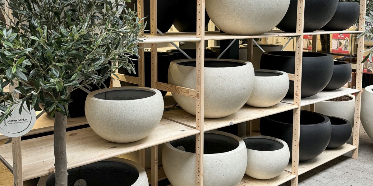 Vurenhouten winkelstelling voor het presenteren en opbergen van producten.